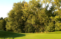 Novagolf