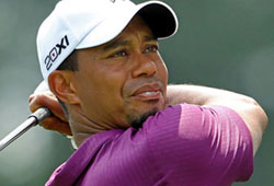 Woods_Tiger