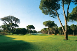 faldo_course1