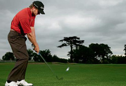 Goosen