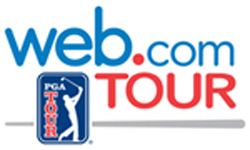 webcom logo