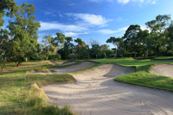 AUS Woodlands1