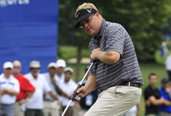 Pettersson C