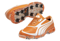 Puma AMP