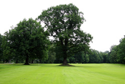 silherovice2