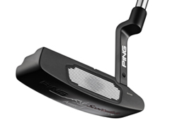 Ping Anser TR