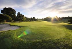 Royal Melbourne