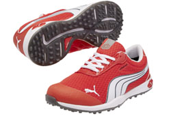 Puma Biofusion