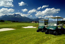 golf Black