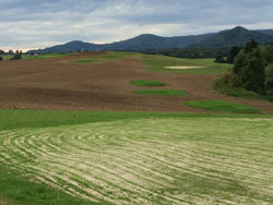 Ceska-Lipa