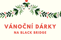 bb-vanocni-darky-250