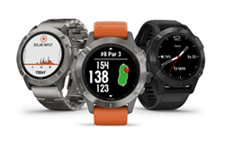 fenix6