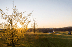 panorama-il-05-250