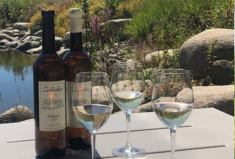 kacov-vino-750