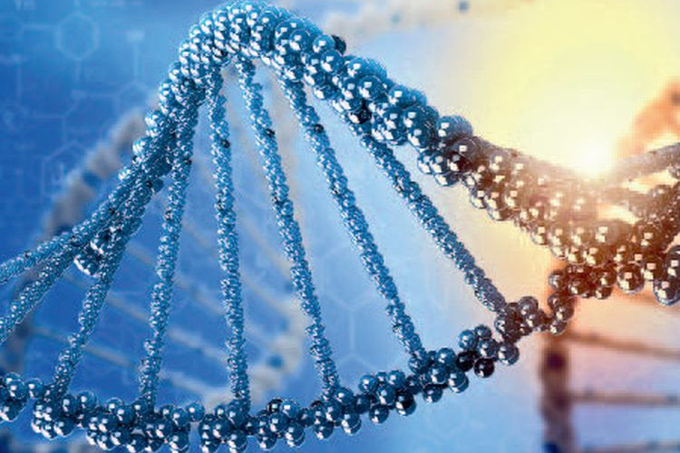 dna