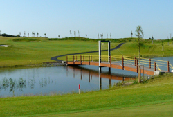 __black_bridge_2