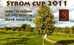 Strom_cup_2011