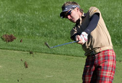 Poulter
