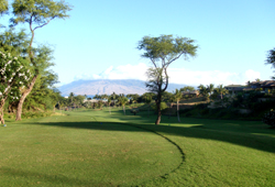 Wailea 2