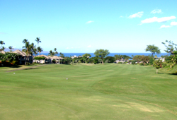 Wailea 3