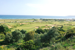 AlgarvePalmares
