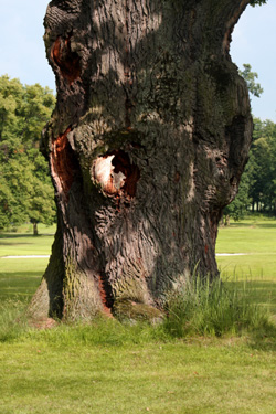 silherovice4