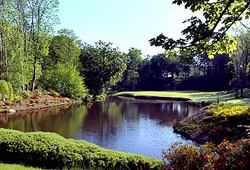 DruidGlen