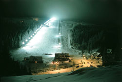 Pec Nocni Javor