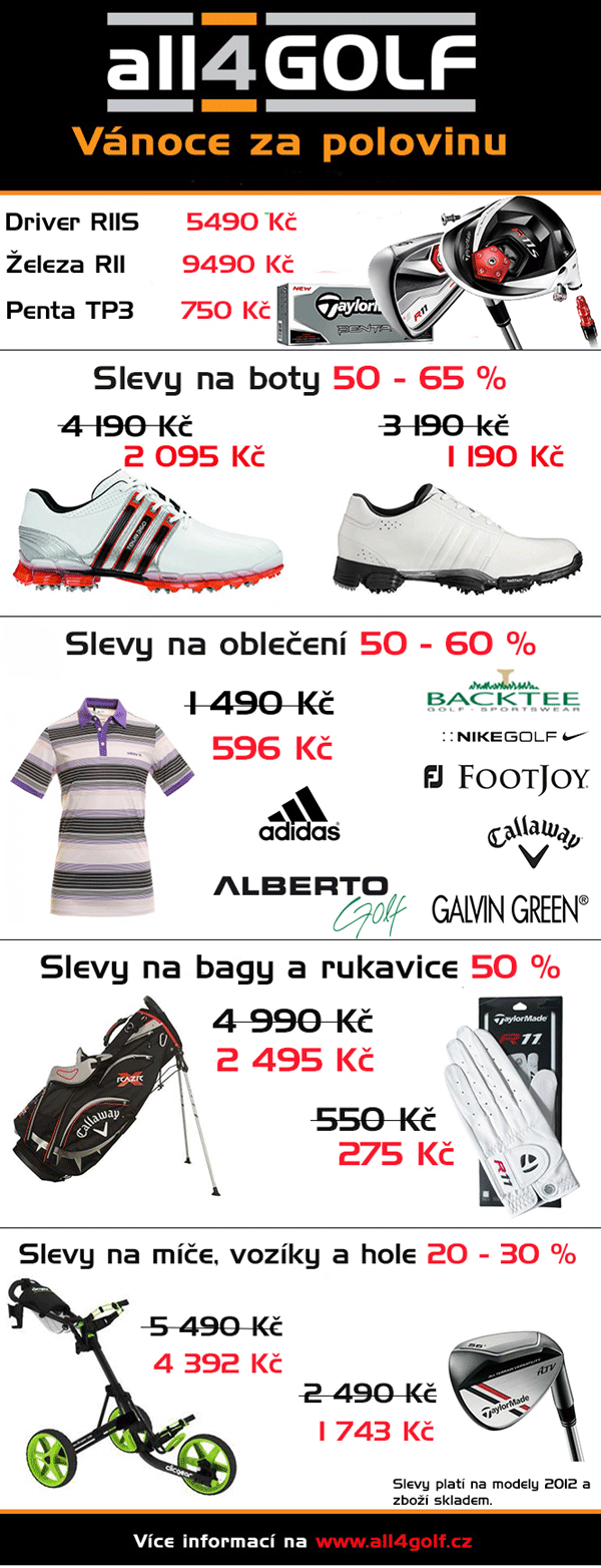 newsletter prosinec31