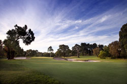 AUS Woodlands3
