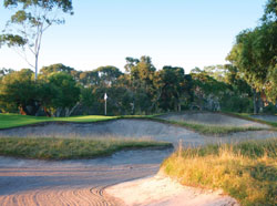 AUS Woodlands j13