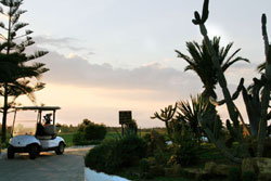 Tunis4 Yasmin-o