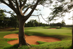 Eagleton