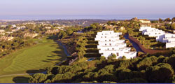 Sotogrande vilkyCimas