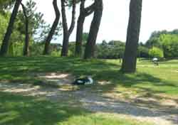 grado kacice