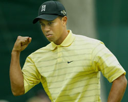 Woods2