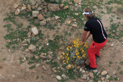 Dubuisson2