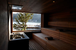 hoschober-sauna