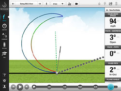 record swing