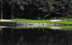 Ropice-3