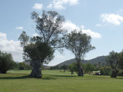 Malorka-Santa-Ponsa1