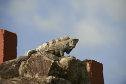 Kostarika-Leguan