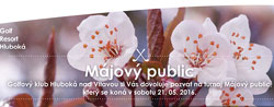 Hluboka public