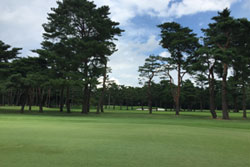 Jap Sayama GC 2