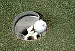 ball embended
