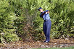 Woods jehlici