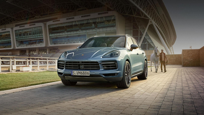 pb Nova cayenne 650