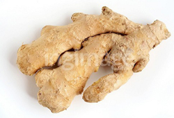 Zazvor