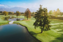 Bled King-course-16