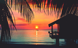Roatan 4